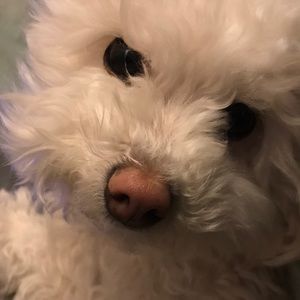 Meet your Posher, Vickie